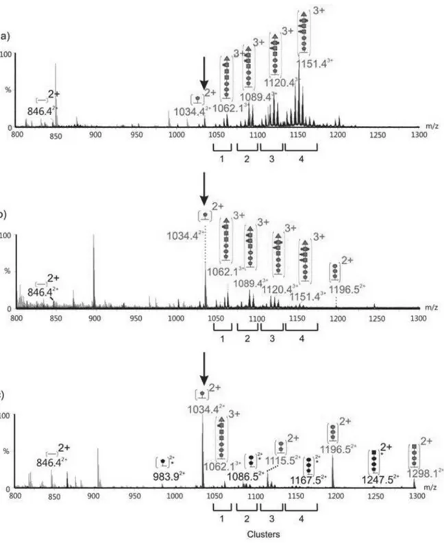 Figure 3. nLC-MS alignment of the AH-3 polar flagellin FlaA/FlaB glycopeptide. The 1691 Da FlaA/FlaB peptide TLAQQSANGSNNTDDR (eluting between 13.1 and 13.8 minutes) was modified by a heptasaccharide glycan with HexNAc residues additionally variably modifi