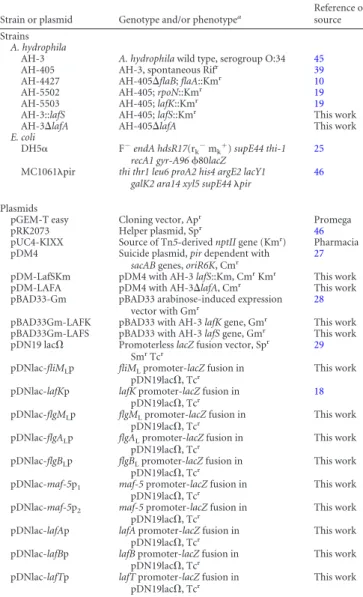 TABLE 1 Bacterial strains and plasmid used in this study