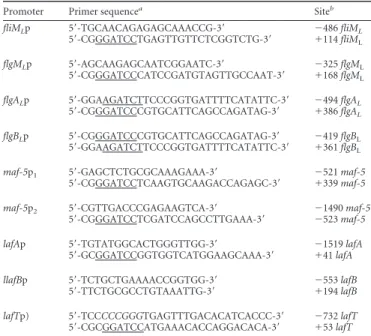 TABLE 2 Primers used for lateral flagellar promoter-lacZ fusion