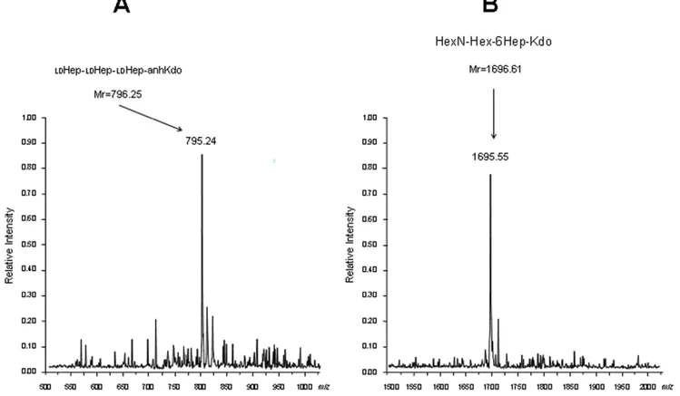 Figure 6. Negative ions ESI-MS of the core oligosaccharide LPS. (A) Core oligosaccharide obtained by acid release from the purified LPS of AH-3DgalU:glgA