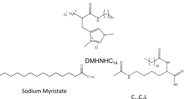 Figure 1. Chemical structure of the cationic (DMHNHC 14 ) and anionic (C 12 C 3 L, sodium myristate) 