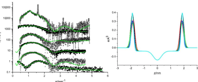 Figure 6. Left: SAXS spectra of DMHNHC 14 (squares) and increasing contents of Myristate from