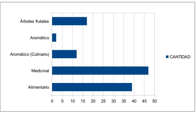 Fig. 7: Cantidad de plantas  divididas por utilidad aparecidas en De cultura hortorum y en Capitulare de Villis