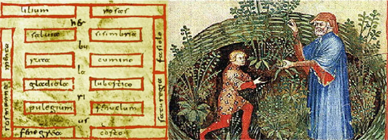 Fig. 10: Plano de Sankt Gallen, S. IX y Detalle de un vallado medieval, S. XIV-XV. Extraído de: hs- hs-augsburg.de/ godecookery.com