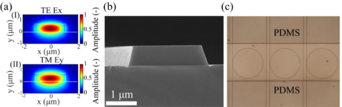 Fig. 1. (a) Mode profile of the fundamental mode for respectively TE polarization (I) and TM  polarization (II)