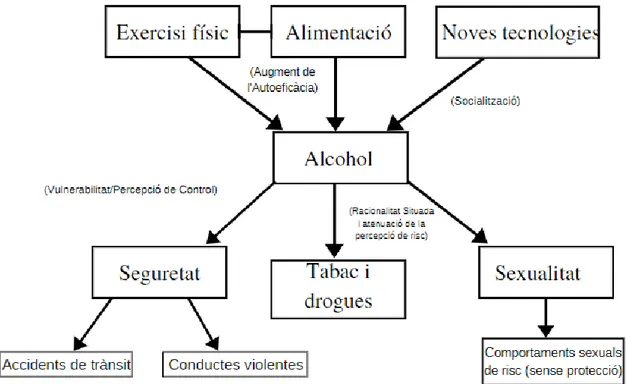 Figura  10:  Mapa  conceptual  sobre  les  relacions  entre  els  diferents  riscos  sota  la    perspectiva de l’alcohol 