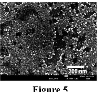 Fig. 5. SEM micrograph of a deposit obtained by chronopotentiometry from the solution 0.2 M  CoCl 2  + 0.9 M NiCl 2  + 0.5 M H 3 BO 3  (pH = 3) at -1 A cm
