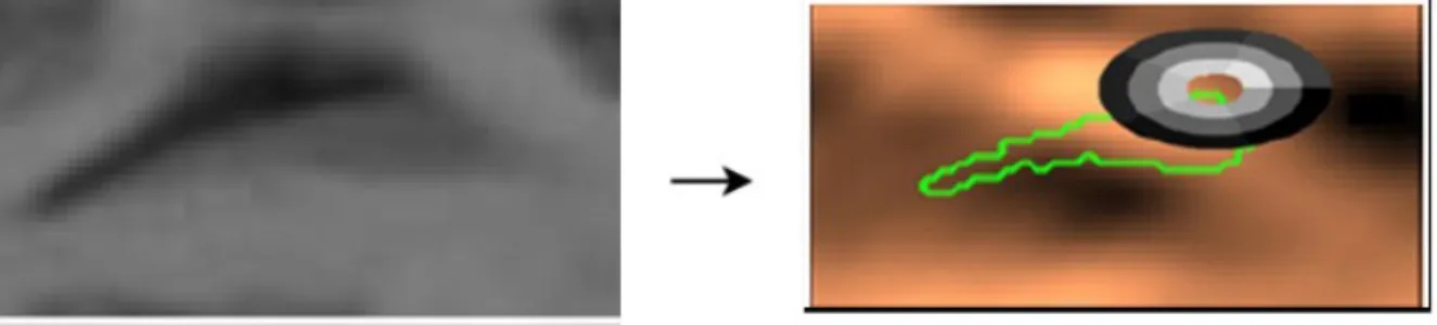 Figura 11) Izquierda: Imagen original. Derecha: Representación visual de correlograma circular sobre pixel tratado            