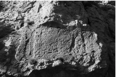 Fig. 1. Relieve de Nabucodonosor en Shir as-Sanam (Líbano), foto: R. Da Riva. 