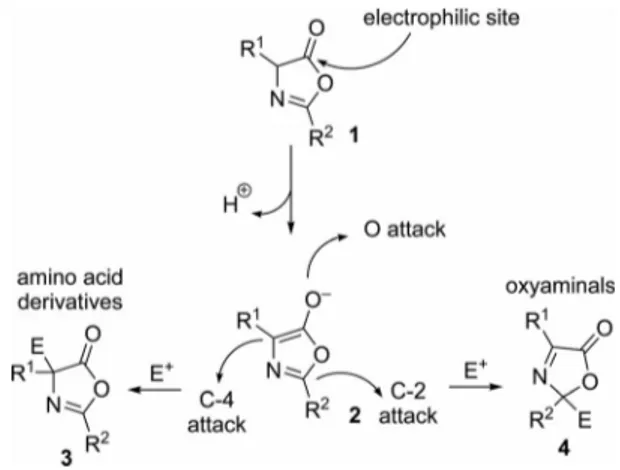 Figure 1. Reactive sites of oxazolones.