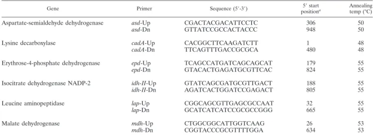 TABLE 2. Sequences of primers used in PCR