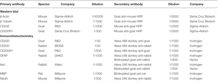TABLE 1 | Antibodies used in western blot assays and immunocytochemistry.