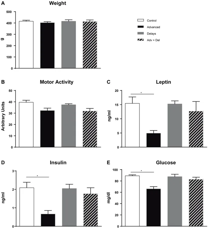 Fig 2. Weight, motor activity and fasting blood glucose, insulin and leptin levels. Adv + Del: Advanced and Delayed group