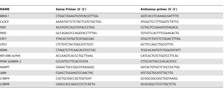 Table 2. Quantitative real-time PCR primers.