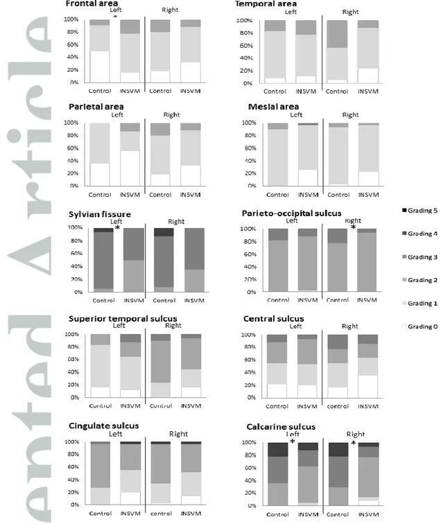 Figure 2. Cortical grading of main areas and sulci at 26 weeks of gestation  