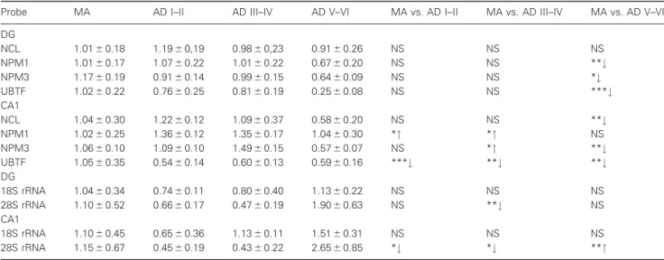 Table 1. mRNA expression of nucleolar proteins and 18S rRNA and 28S rRNA in the DG and CA1 region of the hippocampus of MA and AD cases.