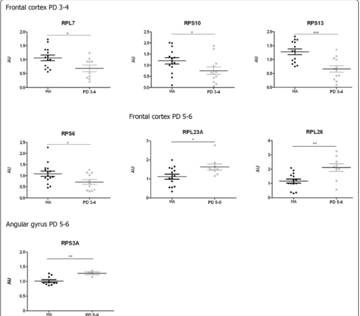 Fig. 5 Altered mRNA expression levels of 16 ribosomal proteins in the angular gyrus in middle-aged (MA) and PD cases determined by TaqMan PCR assays using GUS- β for normalization