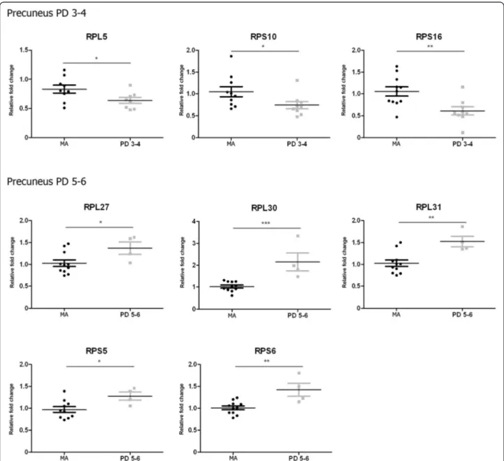 Fig. 6 Altered mRNA expression levels of 16 ribosomal proteins in the precuneus in middle-aged (MA) and PD cases determined by TaqMan PCR as- as-says using GUS- β for normalization