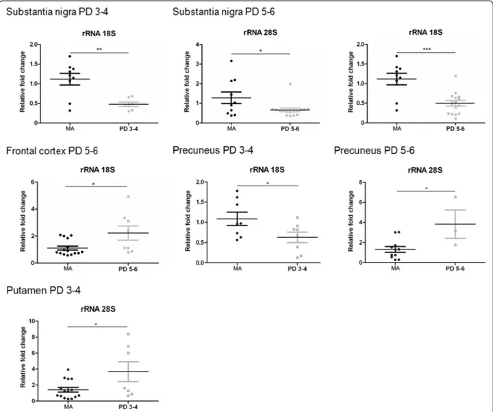 Fig. 2 Altered expression levels of rRNA28S and rRNA18S in substantia nigra, frontal cortex area 8, angular gyrus, precuneus, and putamen in middle- middle-aged (MA) and PD as determined by TaqMan PCR assays using GUS- β for normalization