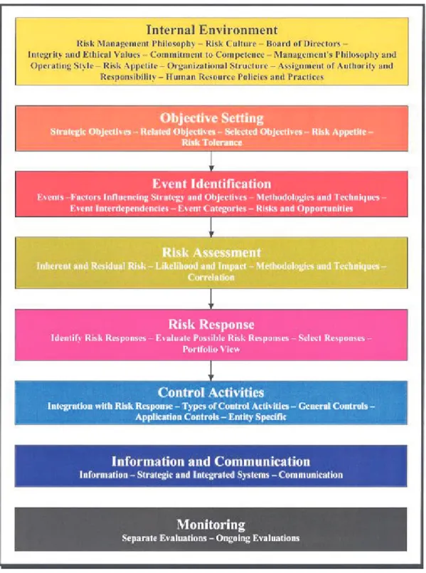 Gráfico 2: Definición de etapas del proceso según COSO 