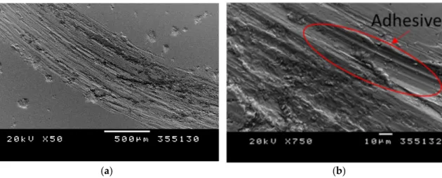 Figure 6. (a) SEM free-surface images of the wear track after the friction wear test on the bulk Inconel:  general view of the wear track and (b) detailed magnification showing the adhesive wear mode
