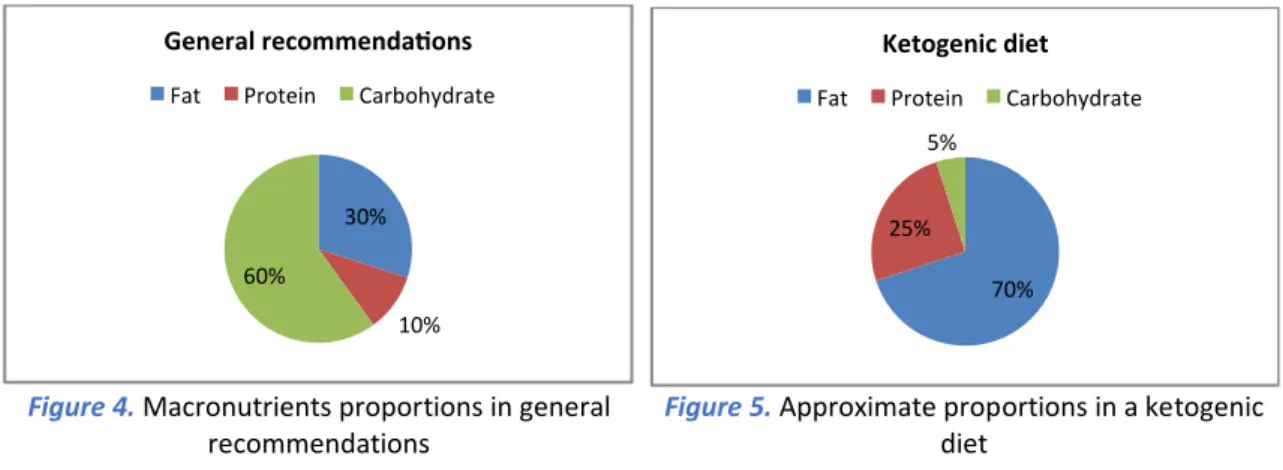 Figure 5.  Approximate proportions in a ketogenic 