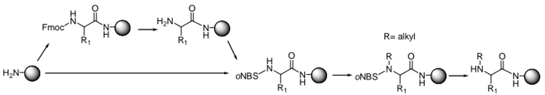 Figure  3.    oNBS  protection  for  the  synthesis  of  N-alkyl  peptides.  Reprinted  with  permission from ref