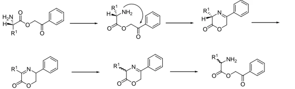 Figure 7. Racemization mechanism of Pac-protected amino acids. Adapted from  205 