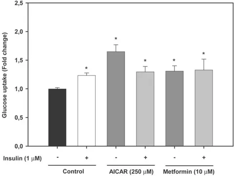 Figure 4. Effects of AMPK activators and insulin on glucose uptake in trout myotubes. Cells were serum starved and stimulated for 24 h in the absence or presence of different doses of AICAR (250 mM) or metformin (10 mM) and with or without insulin (1 mM), 