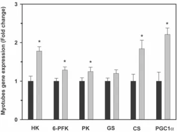 Figure 9. Effects of AICAR on hexokinase (HK), 6-phosphofruc- 6-phosphofruc-tokinase (6-PFK), pyruvate kinase (PK), glycogen synthase (GS), citrate synthase (CS), and peroxisome proliferator-activated receptor gamma coactivator 1-alpha (PGC-1a) mRNA  expre