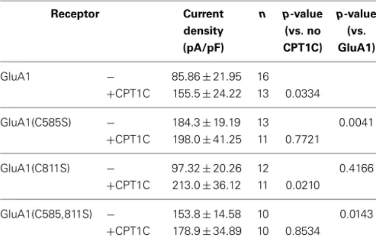 Table 2 | Current density values for GluA1 mutants with or without CPT1C.