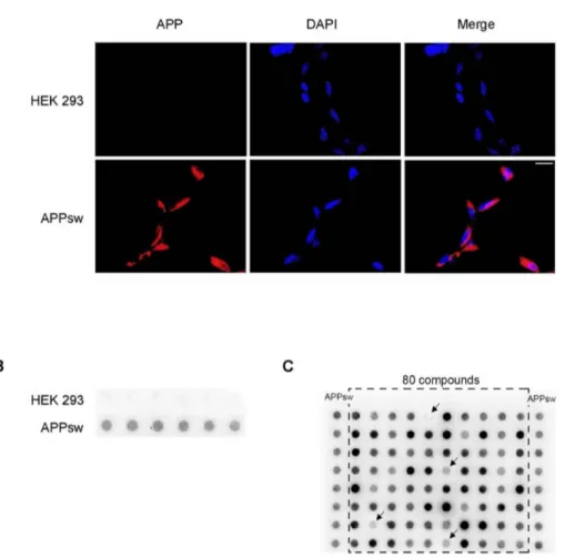 Figure 1. Characterization of a new cell-based assay for screening of APP-lowering small molecules