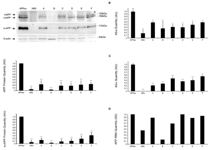 Figure 3. Assessment of APP, Ab 40 and Ab 42 levels in compounds-treated APPsw cells. A) Western blot of the cell lysates and the supernatants of APPsw cells after 3 day incubation with compounds (10 mM)