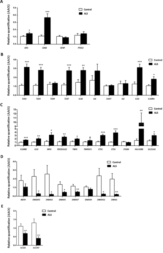 Figure 3.  mRNA expression levels of selected deregulated genes identified by microarray analysis in the anterior horn of the spinal cord in ALS determined by TaqMan RT‐qPCR assays. (A) general glial markers; (B‐C) mediators of the inflammatory response; a