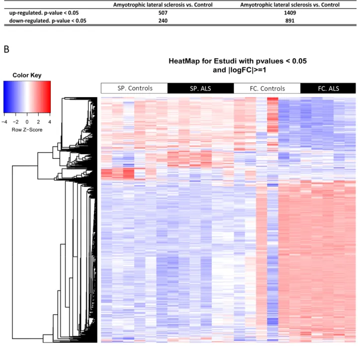 Figure 1.  (A) Total number of significantly different expressed genes comparing transcriptomic profiles between groups and regions. (B) Hierarchical  clustering  heat  map  of  expression  intensities  of  mRNA  array  transcripts  reflect  differential  