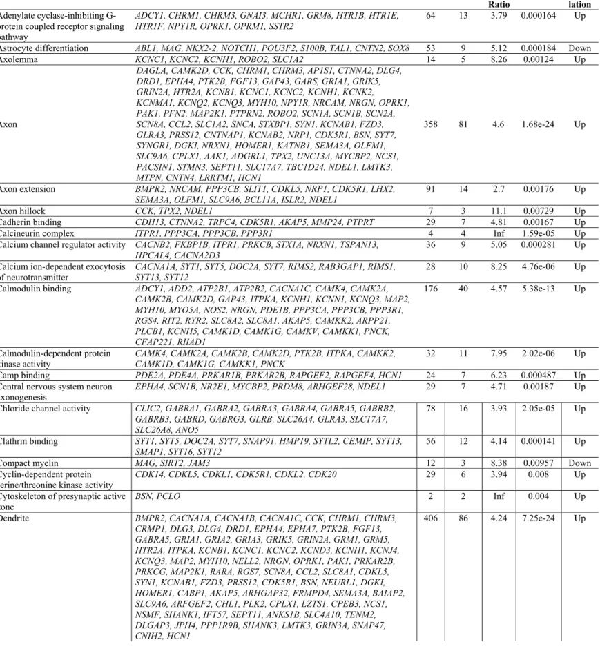 Table 2. Main significant clusters of altered genes in frontal cortex of ALS samples.