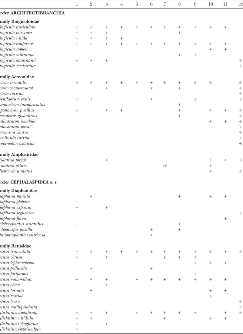 Table III. Known distribution of the recorded species throughout the different geographical areas  1 2 3 4 5 6 7 8 9 10 11 12 Order ARCHITECTIBRANCHIA Family Ringiculoidae Ringicula auriculata + + + + + + + + + + + Ringicula buccinea + + + + Ringicula niti