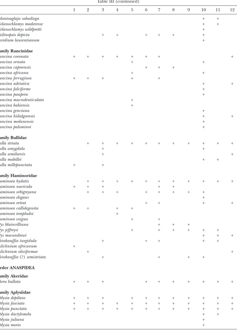 Table III (continued) 1 2 3 4 5 6 7 8 9 10 11 12 Odontoaglaja sabadiega + + Melanochlamys maderense + + Melanochlamys wildpretti + Philinopsis depicta + + + + + + Doridium laurentianum + Family Runcinidae Runcina coronata + + + + + + + + Runcina ornata + +