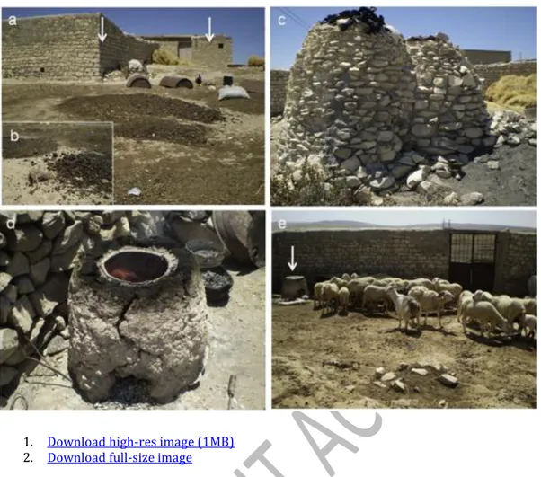 Fig. 3. Livestock dung management, storage and fuel use at El Souidat, June 2010. a) Household  surrounded by open-air dung drying spaces