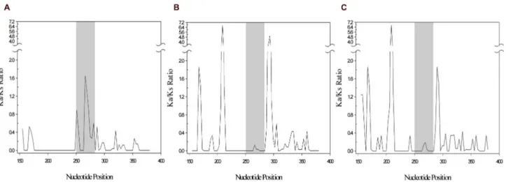 Figure 3.  Sliding-window analysis of TCTEX1D4 palindromic region.  Sliding-window analysis was performed using the DnaSP