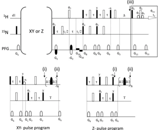 Fig. 4 Pulse programs (XY and Z) to evaluate the amount of H R and H N polarization present at different points in the sequence used to determine 15 N R 1 relaxation rates