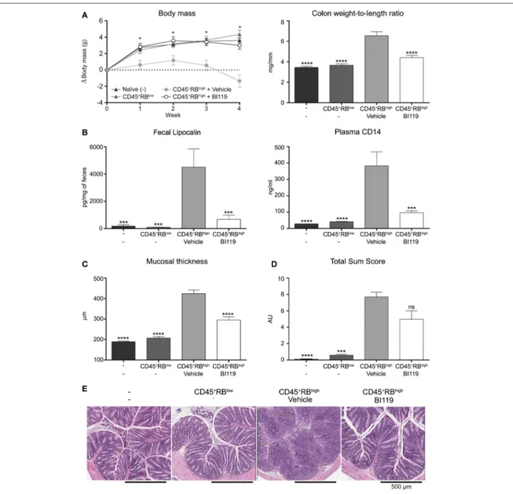 FIGURE 4 | Impact of BI119 on T-cell-transfer colitic mice. (A) Body weight loss and colon tissue inflammation were reduced with BI119 treatment