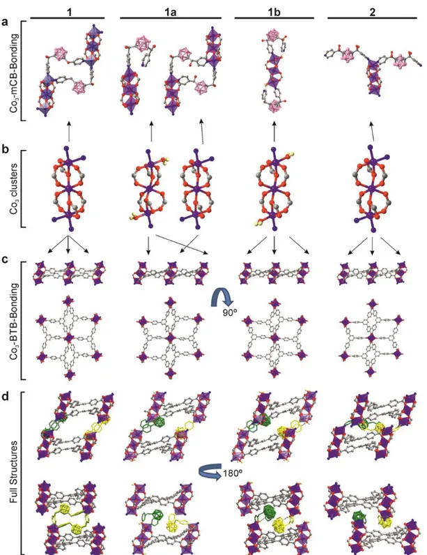 Figure 1. Crystal structures of 1, 1a, 1b and 2. a) View of the trinuclear Co(II) units (as blue- blue-violet  polyhedrons)  with  mCB  coordination
