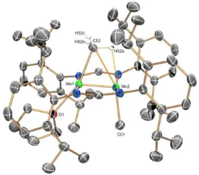 Fig.  3.  The  solid  state  molecular  structure  of  the  tetrahydrofuran  adduct  [Mo 2 Me(μ-