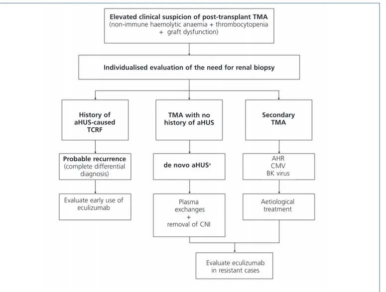 Figure 6.  Diagnosis and treatment of thrombotic microangiopathy in kidney transplants.