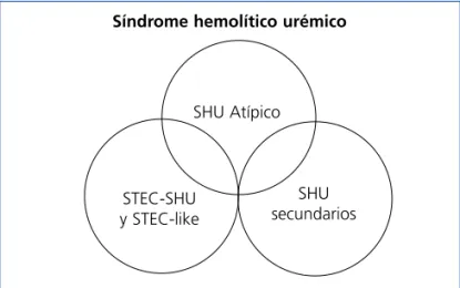 Figura 2.  Representación del solapamiento clínico entre los distintos tipos de síndrome hemolítico urémico