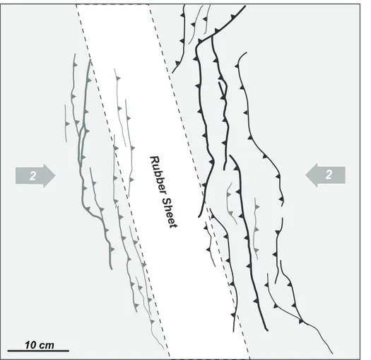 FIGURE 13 Analogue model 4= 70º Oblique Compression. Line diagram interpretation of the surface fault pattern at the end of shortening
