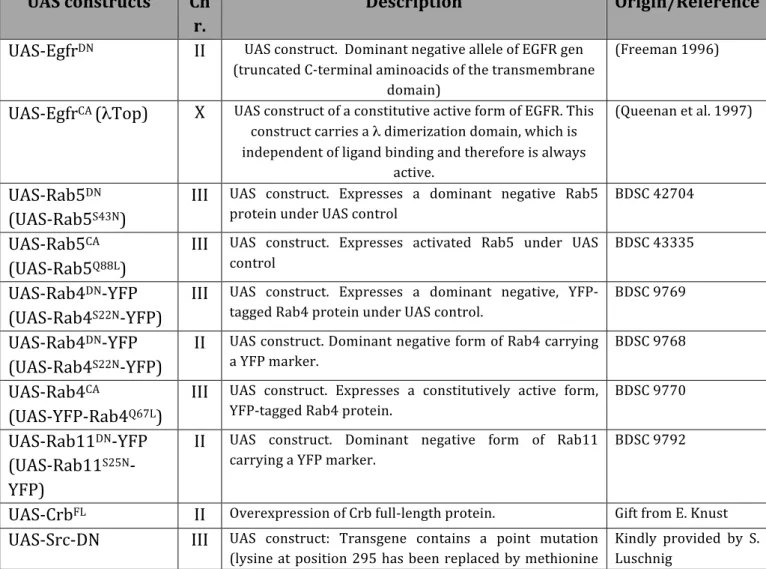 Table	 3.	 Fly	 strains	 used	 during	 the	 study.	 Abbreviations	 used:	 Chr:	 Chromosome	 number;	 BDSC:	