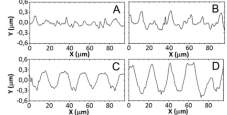 Fig. 3. Profiles of the four samples studied in this work, obtained by confocal microscopy