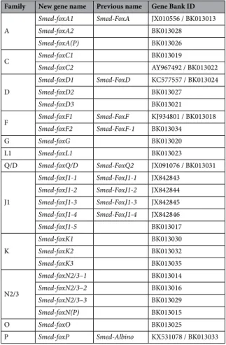 Table 1.   Fox genes in Schmidtea mediterranea. New and previous names of Fox genes in Smed are shown, with  their corresponding GeneBank Ids.